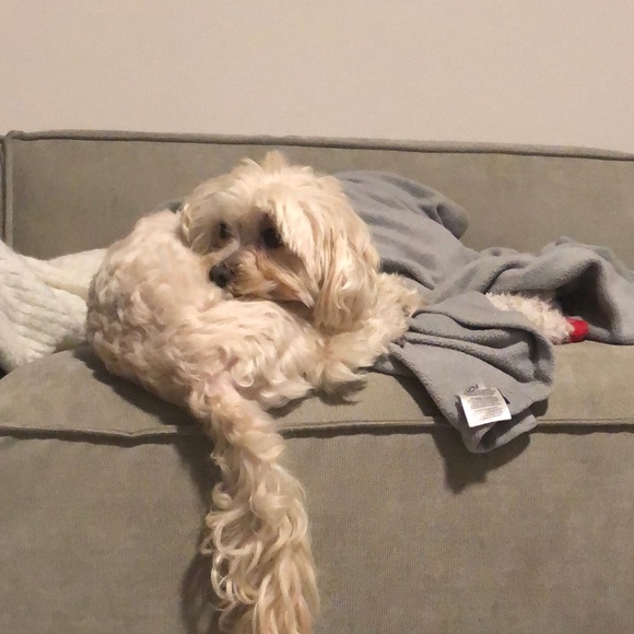 Profile Picture of Daniel Roberts (@dannyboi853) on Poshmark