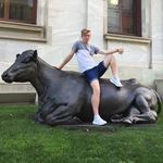 Profile Picture of Colm O'Sullivan (@colm.osullivan) on Instagram