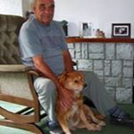 Brian Ward - Instagram Profile Picture of Brian Ward (@wilfred.ward1) on Instagram