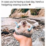 Profile Picture of Craig Batten (@craig.batten.56) on Instagram