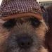 Profile Picture of David Coates (@david.coates.35513800) on Facebook
