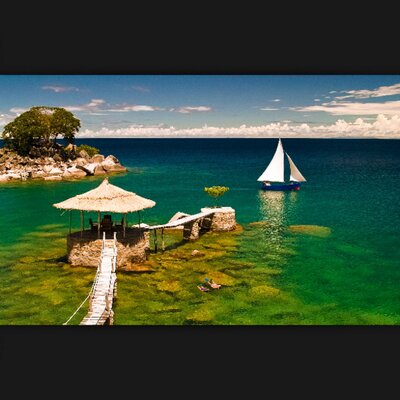 Profile Picture of Dalal Hamad (@dalalbrk) on Twitter