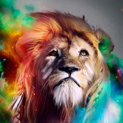 Profile Picture of Don Neufeld (@obidon714) on Twitter