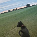 Profile Picture of Harvey Leonard (@rmf_harvey) on Instagram