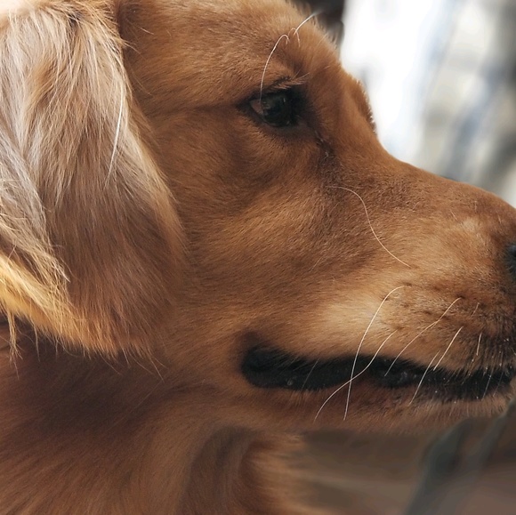 Profile Picture of Victor Ivan (@victormcruz) on Poshmark