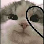 Profile Picture of Brendä Eřnestõ (@Brendä-Eřnestõ) on Facebook