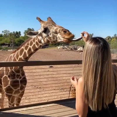 Profile Picture of Araceli Ramirez (@_araceliramirez) on Twitter