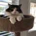Profile Picture of RuthAnn Moore (@ruthann.moore.102) on Facebook