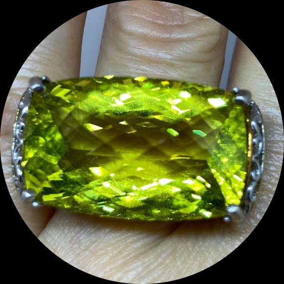 Profile Picture of Lori Cameron (@thejeweloribox) on Poshmark