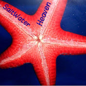 Profile Picture of Chris Rubio (@chrisrubio1046) on Youtube