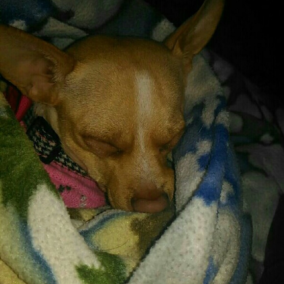 Profile Picture of Joselyn Jimenez (@jossie877) on Poshmark