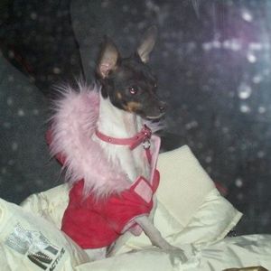 Profile Picture of Crystal Goolsby (@calibaylorite) on Myspace