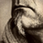 Profile Picture of Bug (@bug-olsson) on Flickr