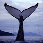 Profile Picture of Richard Brittingham (@britt19720) on Instagram