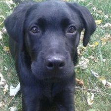 Profile Picture of Daniel Lacasse (@5012ce33ce24422) on Twitter