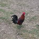 Brad Hunte - Facebook Profile Picture of Brad Hunte (@Brad-Hunte) on Facebook