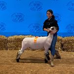 Profile Picture of Brandi Difilippo Medearis (@brandi3) on Instagram