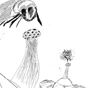 Profile Picture of Michael Turney (@michaelturney9225) on Youtube