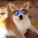 Profile Picture of Geoffrey LIMONET (@geoffreylimonet) on Pinterest
