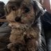 Profile Picture of Brendan Boyd (@brendan.boyd.3511) on Facebook