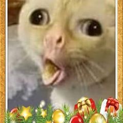 Profile Picture of Jimmy Benites (@jimmybenites) on Tiktok