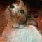 Profile Picture of Terry Hammer (@terry.hammer.144) on Facebook