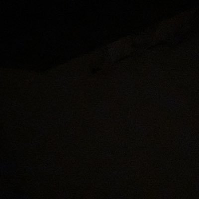 Profile Picture of Muse Adam (@Adam2Muse) on Twitter