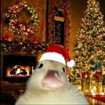 Profile Picture of Matthew Gracia (@matthew.gracia.691687) on Facebook