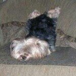 Profile Picture of Marcy Simmons Vaughn (@marcyv72) on Instagram