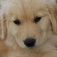 Profile Picture of Scott Monchunski (@scott-monchunski-1) on Quora