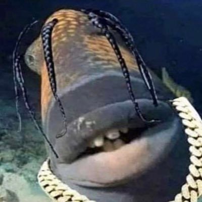 Profile Picture of Garrison Edwards (@garrisonedward6) on Twitter