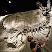 Profile Picture of Jeff Morton (@jeff-morton-82) on Quora