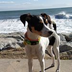 Profile Picture of David Fenech Marcobal (@dfm72) on Instagram