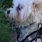 Profile Picture of David (@xx_david_barrios_xx) on Instagram