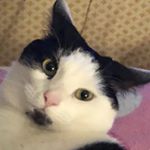 Profile Picture of bryan cranston’s little slut (@avant_goddard) on Instagram