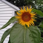 Profile Picture of Forest Zang (@Forest-Zang) on Facebook