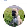 Profile Picture of Scott Rawlins199 (@scottrawlins199) on Tiktok