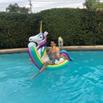 Profile Picture of Max Butters Cotton Kotton (@maxkotton) on Instagram