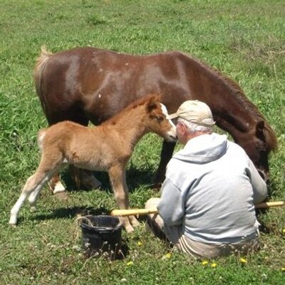 Profile Picture of Barry Weber Today (@BarryWeberToday) on Twitter