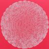 Profile Picture of adamhawk_ (@adamhawk_) on Tiktok
