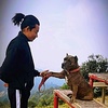 Profile Picture of Danny Vo (@@dannyvo18) on Tiktok