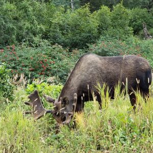 Profile Picture of Jonathan R. Shilling (@TheRealJRS2018) on Twitter