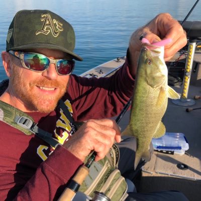 Profile Picture of Dave Mull (@DaveMull6) on Twitter