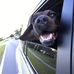 Profile Picture of Bob Singleton (@bob.singleton.77) on Facebook