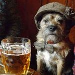 Profile Picture of Amy J Muzzy (@muzzyhowler) on Instagram