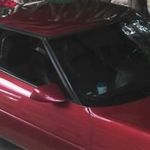 Profile Picture of steve baird (@baird_steve) on Instagram