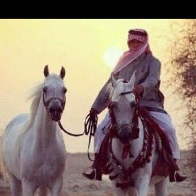 Homoud Alshafi - Twitter Profile Picture of Homoud Alshafi (@hnhalshafi) on Twitter