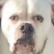 Profile Picture of Gavin’s Food Reviews (@gavinsfoodreviews1783) on Youtube