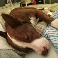 Profile Picture of Michael Boeschenstein (@michael-boeschenstein) on Quora