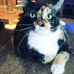 Profile Picture of Buddy Sutton (@buddy.sutton.98) on Facebook